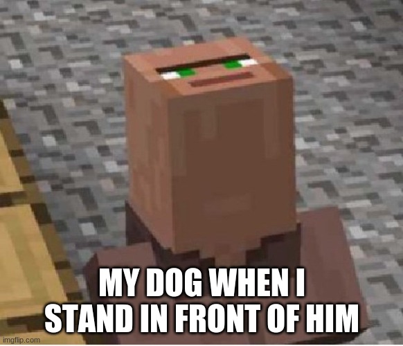 Minecraft Villager Looking Up | MY DOG WHEN I STAND IN FRONT OF HIM | image tagged in minecraft villager looking up | made w/ Imgflip meme maker