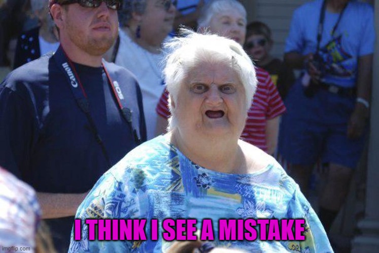 Wat Lady | I THINK I SEE A MISTAKE | image tagged in wat lady | made w/ Imgflip meme maker