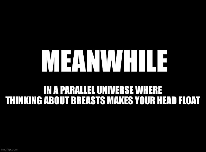 blank black | MEANWHILE IN A PARALLEL UNIVERSE WHERE THINKING ABOUT BREASTS MAKES YOUR HEAD FLOAT | image tagged in blank black | made w/ Imgflip meme maker