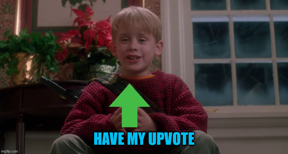 Home Alone | HAVE MY UPVOTE | image tagged in home alone | made w/ Imgflip meme maker