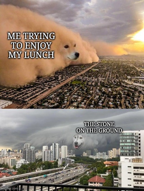 Lunch Vs Stone | ME TRYING TO ENJOY MY LUNCH; THE STONE ON THE GROUND | image tagged in lunch,accident | made w/ Imgflip meme maker