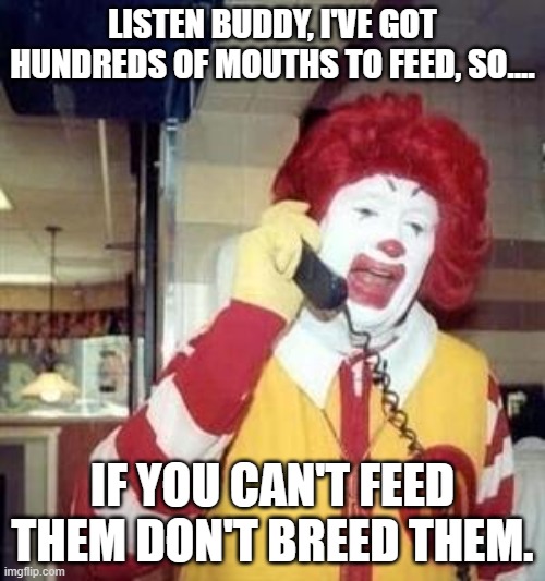 Kids today.... |  LISTEN BUDDY, I'VE GOT HUNDREDS OF MOUTHS TO FEED, SO.... IF YOU CAN'T FEED THEM DON'T BREED THEM. | image tagged in ronald mcdonald temp,feed me,feeding,kids these days,world hunger | made w/ Imgflip meme maker