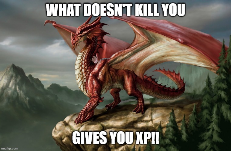 dragon xp | WHAT DOESN'T KILL YOU; GIVES YOU XP!! | image tagged in dragon | made w/ Imgflip meme maker