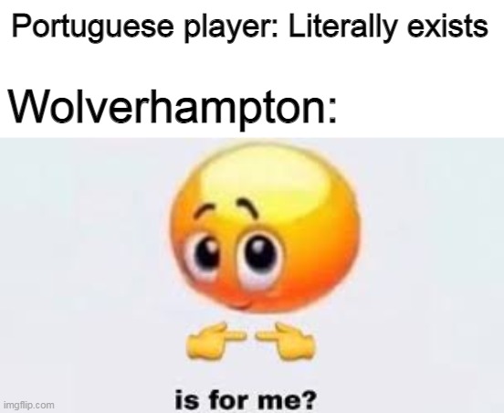 Hippity Hoppity You're Now My Property | Portuguese player: Literally exists; Wolverhampton: | image tagged in is for me,soccer,football,memes,sports | made w/ Imgflip meme maker