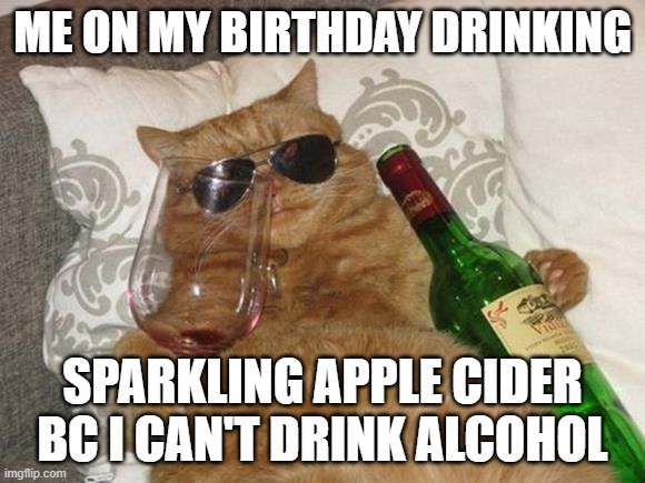 Funny Cat Birthday | ME ON MY BIRTHDAY DRINKING; SPARKLING APPLE CIDER BC I CAN'T DRINK ALCOHOL | image tagged in funny cat birthday | made w/ Imgflip meme maker