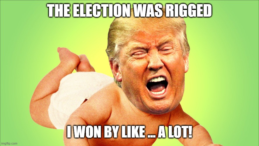 Rigged Election | THE ELECTION WAS RIGGED; I WON BY LIKE ... A LOT! | image tagged in trump,election,rigged,whiney little bitch | made w/ Imgflip meme maker