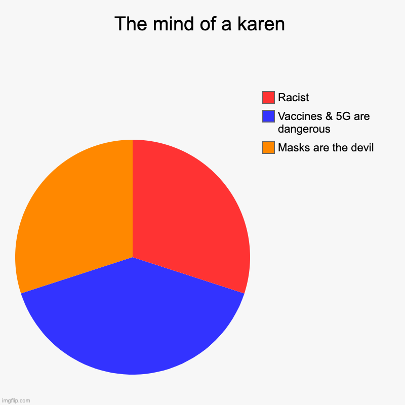 The mind of a karen | Masks are the devil, Vaccines & 5G are dangerous, Racist | image tagged in charts,pie charts | made w/ Imgflip chart maker