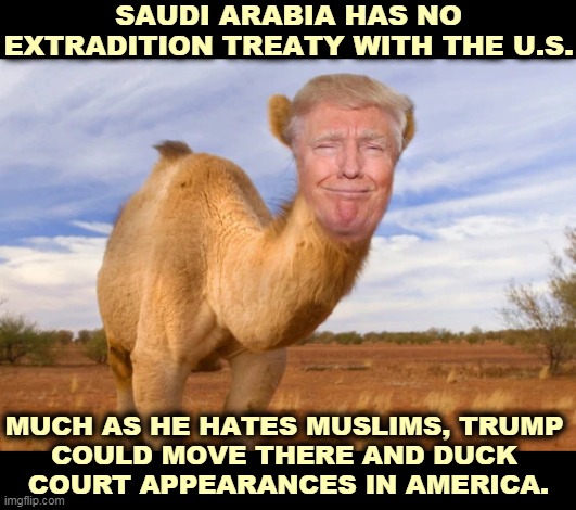 Federal pardons don't shield against state and city civil suits. Trump is so afraid he may decide to run and hide. | SAUDI ARABIA HAS NO EXTRADITION TREATY WITH THE U.S. MUCH AS HE HATES MUSLIMS, TRUMP 
COULD MOVE THERE AND DUCK 
COURT APPEARANCES IN AMERICA. | image tagged in trump camel saudi arabia has no extradition with the u s,trump,guilty,dirty,tax,dodgers | made w/ Imgflip meme maker