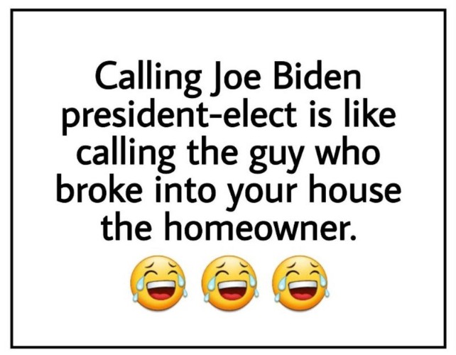 Calling Joe Biden president-elect is Like... | image tagged in not my president,joe and the hoe 2020,sedition,treason,stop the steal,grand theft | made w/ Imgflip meme maker