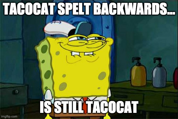 Don't You Squidward | TACOCAT SPELT BACKWARDS... IS STILL TACOCAT | image tagged in memes,don't you squidward | made w/ Imgflip meme maker