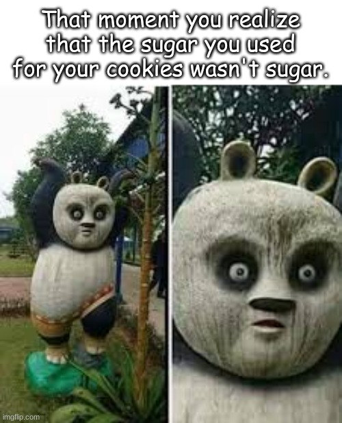 ooooof | That moment you realize that the sugar you used for your cookies wasn't sugar. | image tagged in kung fu panda | made w/ Imgflip meme maker