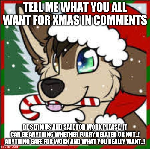 Furry Merry Xmas | TELL ME WHAT YOU ALL WANT FOR XMAS IN COMMENTS; BE SERIOUS AND SAFE FOR WORK PLEASE. IT CAN BE ANYTHING WHETHER FURRY RELATED OR NOT..! ANYTHING SAFE FOR WORK AND WHAT YOU REALLY WANT..! | image tagged in furry merry xmas | made w/ Imgflip meme maker