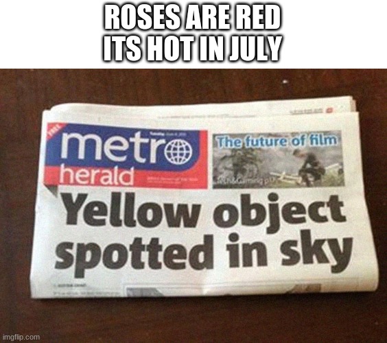 ROSES ARE RED
ITS HOT IN JULY | image tagged in memes | made w/ Imgflip meme maker