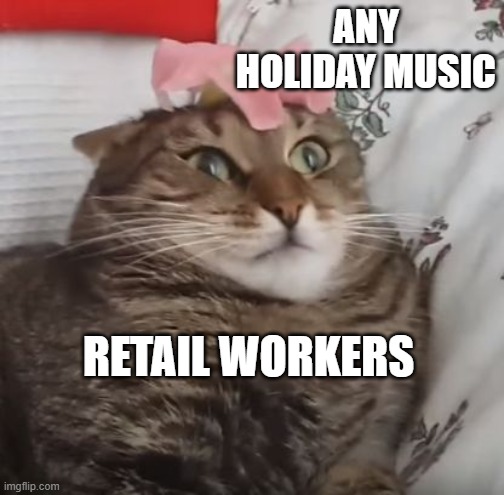 WHY ARE WE STILL HERE JUST TO SUFFER EVERY NIGHT cat 2 | ANY HOLIDAY MUSIC; RETAIL WORKERS | image tagged in why are we still here just to suffer every night cat 2 | made w/ Imgflip meme maker
