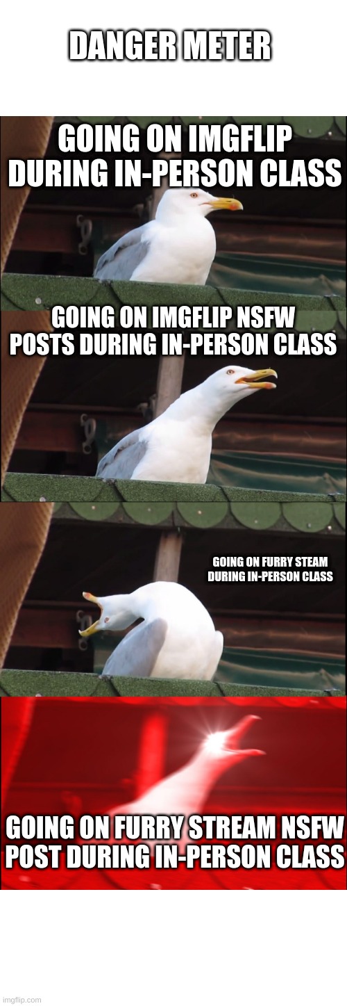 Inhaling Seagull | DANGER METER; GOING ON IMGFLIP DURING IN-PERSON CLASS; GOING ON IMGFLIP NSFW POSTS DURING IN-PERSON CLASS; GOING ON FURRY STEAM DURING IN-PERSON CLASS; GOING ON FURRY STREAM NSFW POST DURING IN-PERSON CLASS | image tagged in memes,inhaling seagull | made w/ Imgflip meme maker