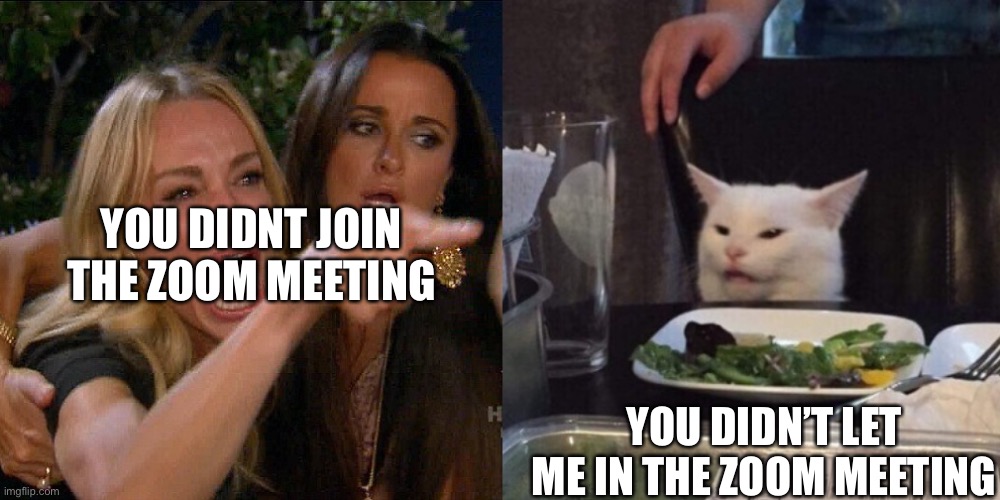 Teachers these days |  YOU DIDNT JOIN THE ZOOM MEETING; YOU DIDN’T LET ME IN THE ZOOM MEETING | image tagged in woman yelling at cat | made w/ Imgflip meme maker