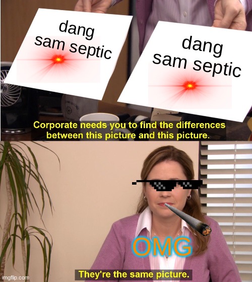 They're The Same Picture Meme | dang sam septic; dang sam septic; OMG | image tagged in memes,they're the same picture | made w/ Imgflip meme maker