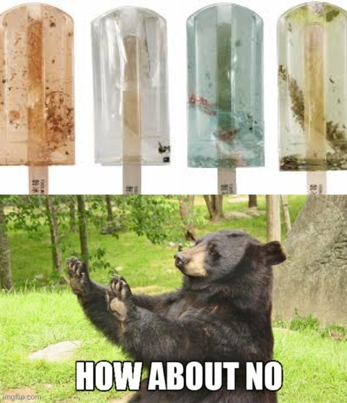 Those Popsicle's look like they were taken out of a trashcan. | image tagged in memes,how about no bear | made w/ Imgflip meme maker