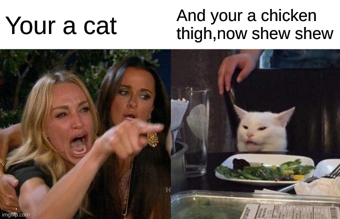 chicken thigh??? | Your a cat; And your a chicken thigh,now shew shew | image tagged in memes,woman yelling at cat | made w/ Imgflip meme maker