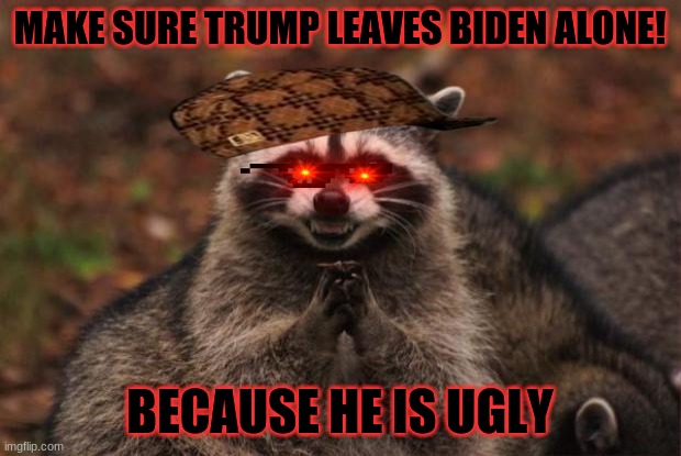 evil genius racoon | MAKE SURE TRUMP LEAVES BIDEN ALONE! BECAUSE HE IS UGLY | image tagged in evil genius racoon | made w/ Imgflip meme maker