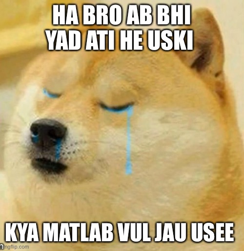 sad doge | HA BRO AB BHI YAD ATI HE USKI; KYA MATLAB VUL JAU USEE | image tagged in sad doge | made w/ Imgflip meme maker