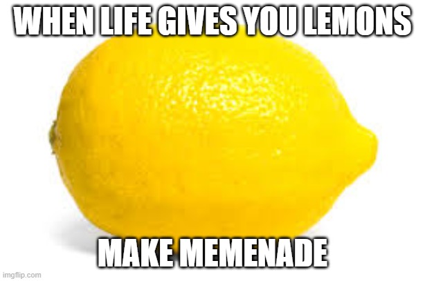 When life gives you lemons, X | WHEN LIFE GIVES YOU LEMONS; MAKE MEMENADE | image tagged in when life gives you lemons x | made w/ Imgflip meme maker