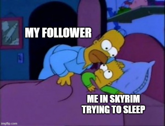Sleeping in Skyrim |  MY FOLLOWER; ME IN SKYRIM TRYING TO SLEEP | image tagged in i don't want to alarm you but,skyrim,sleeping,can't sleep,video games,funny | made w/ Imgflip meme maker