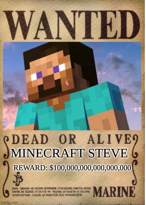 Wanted: Minecraft Steve | MINECRAFT STEVE; REWARD: $100,000,000,000,000,000 | image tagged in minecraft steve,wanted poster | made w/ Imgflip meme maker