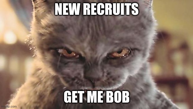 Evil Cat | NEW RECRUITS; GET ME BOB | image tagged in evil cat | made w/ Imgflip meme maker