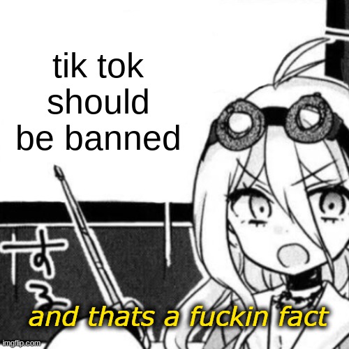 hahahahahahahahahahahaha |  tik tok should be banned | image tagged in and that's a fact,lol so funny,too dank,so so dank,funny | made w/ Imgflip meme maker