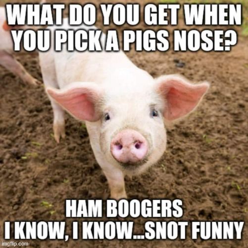 image tagged in pig's nose | made w/ Imgflip meme maker
