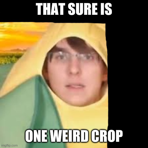 weird crop bro | THAT SURE IS; ONE WEIRD CROP | image tagged in colonel cornelius cornwall,memes | made w/ Imgflip meme maker
