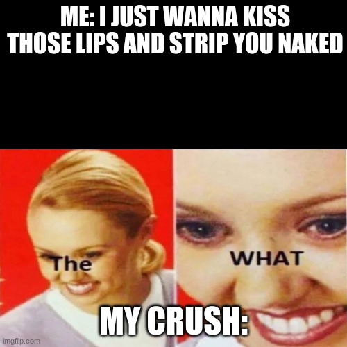 The What | ME: I JUST WANNA KISS THOSE LIPS AND STRIP YOU NAKED; MY CRUSH: | image tagged in the what | made w/ Imgflip meme maker