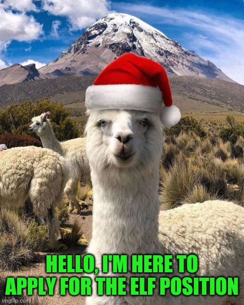 Everybody wants to work with Santa | HELLO, I'M HERE TO APPLY FOR THE ELF POSITION | image tagged in llama,elf | made w/ Imgflip meme maker