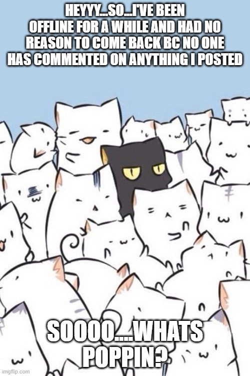 supppp? | HEYYY...SO...I'VE BEEN OFFLINE FOR A WHILE AND HAD NO REASON TO COME BACK BC NO ONE HAS COMMENTED ON ANYTHING I POSTED; SOOOO....WHATS POPPIN? | image tagged in cats | made w/ Imgflip meme maker