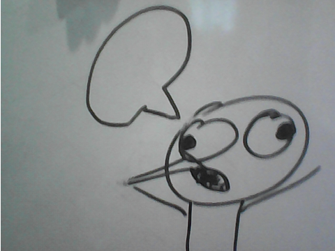 Whiteboard Bird Blank Meme Template