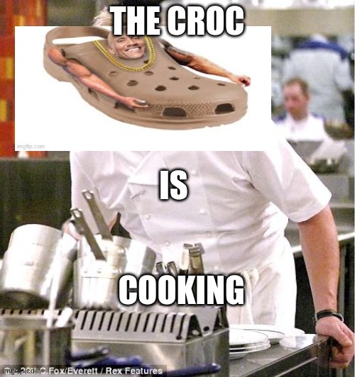 Chef Gordon Ramsay Meme | THE CROC IS COOKING | image tagged in memes,chef gordon ramsay | made w/ Imgflip meme maker