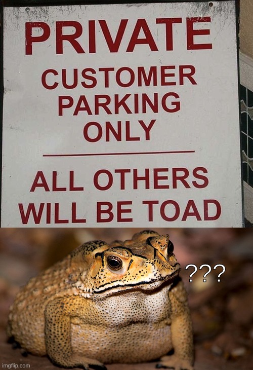 ??? | image tagged in toad,sign,spelling | made w/ Imgflip meme maker