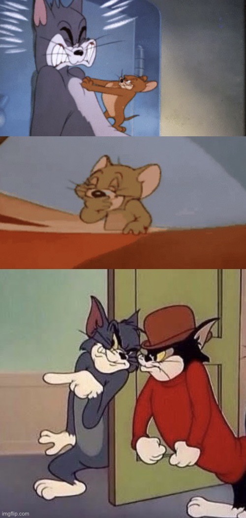 Tom And Jerry Goons Remake | image tagged in tom and jerry goons remake,meme,custom template,funny,tom and jerry,new template | made w/ Imgflip meme maker