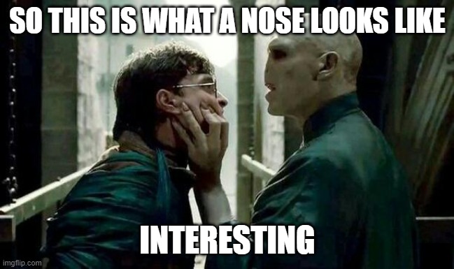 Voldemort and Harry | SO THIS IS WHAT A NOSE LOOKS LIKE; INTERESTING | image tagged in voldemort and harry | made w/ Imgflip meme maker