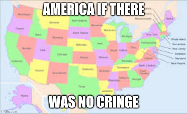 America without florida | AMERICA IF THERE; WAS NO CRINGE | image tagged in america,florida | made w/ Imgflip meme maker