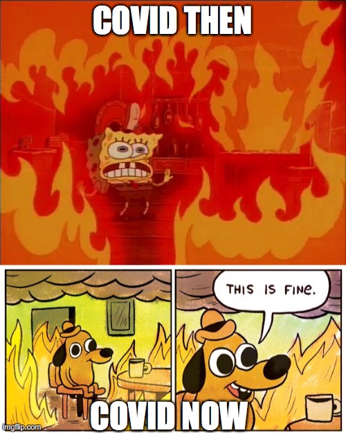 COVID THEN; COVID NOW | image tagged in burning spongebob,memes,this is fine | made w/ Imgflip meme maker