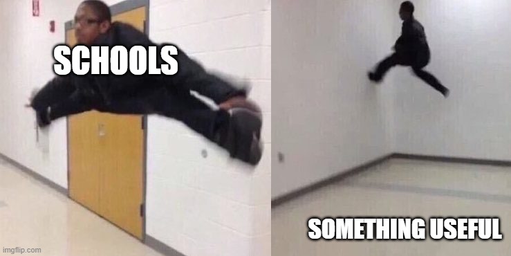 The Floor is Lava | SCHOOLS; SOMETHING USEFUL | image tagged in the floor is lava | made w/ Imgflip meme maker
