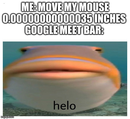 helo fish | ME: MOVE MY MOUSE 0.00000000000035 INCHES 
GOOGLE MEET BAR: | image tagged in helo fish | made w/ Imgflip meme maker