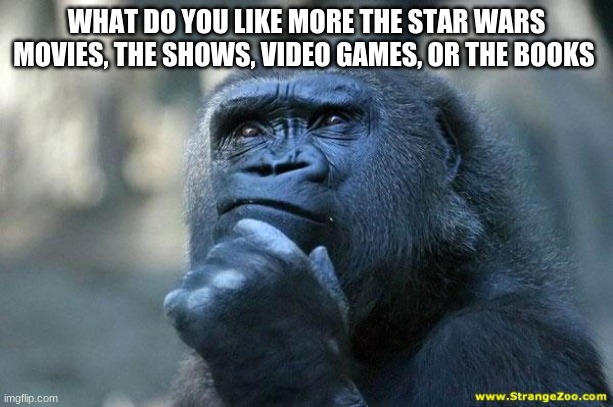 Deep Thoughts | WHAT DO YOU LIKE MORE THE STAR WARS MOVIES, THE SHOWS, VIDEO GAMES, OR THE BOOKS | image tagged in deep thoughts | made w/ Imgflip meme maker
