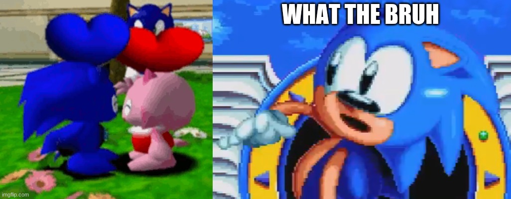 what the bruh |  WHAT THE BRUH | image tagged in sonic the hedgehog,bruh,sonic mania | made w/ Imgflip meme maker