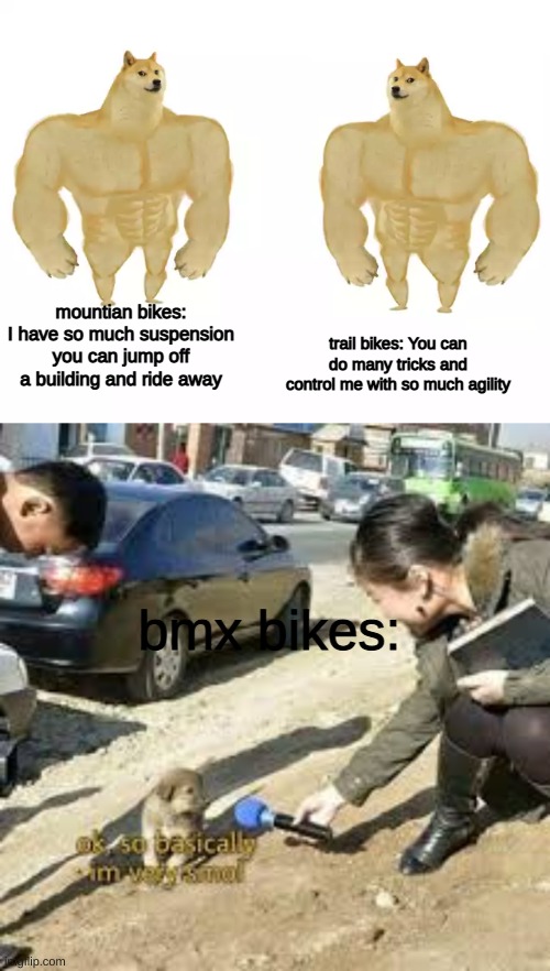 trail bikes: You can do many tricks and control me with so much agility; mountian bikes: I have so much suspension you can jump off a building and ride away; bmx bikes: | image tagged in two strong dogs | made w/ Imgflip meme maker