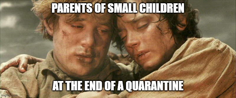 Parents at the end of a quarantine | PARENTS OF SMALL CHILDREN; AT THE END OF A QUARANTINE | image tagged in sam and frodo | made w/ Imgflip meme maker