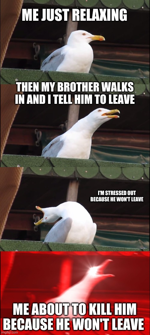 Life with a brother | ME JUST RELAXING; THEN MY BROTHER WALKS IN AND I TELL HIM TO LEAVE; I'M STRESSED OUT BECAUSE HE WON'T LEAVE; ME ABOUT TO KILL HIM BECAUSE HE WON'T LEAVE | image tagged in memes,inhaling seagull | made w/ Imgflip meme maker