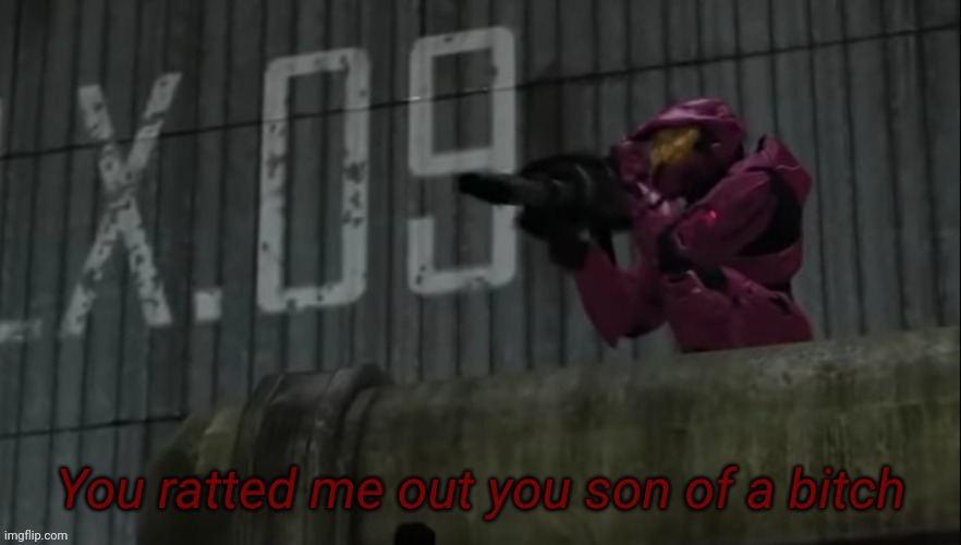 You ratted me out you son of a bitch | image tagged in you ratted me out you son of a bitch | made w/ Imgflip meme maker